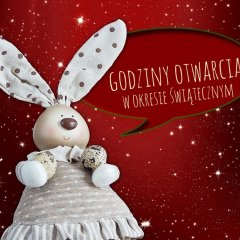 Godziny otwarcia w okresie świątecznym !