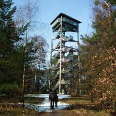 Wieża widokowa (Stary Konin)