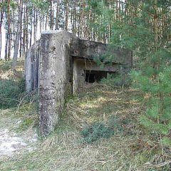 Schrony gminy Ślesin