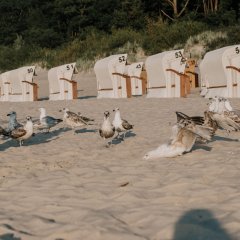 Urlaub am Meer 2024 in Kolberg Polen – die besten Hotelpakete