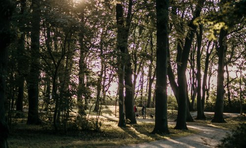 A seaside hotel <br><span>you will fall in love with</span>