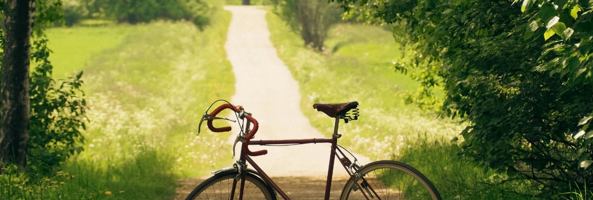 Trasy rowerowe | Łynostrada | Green Velo