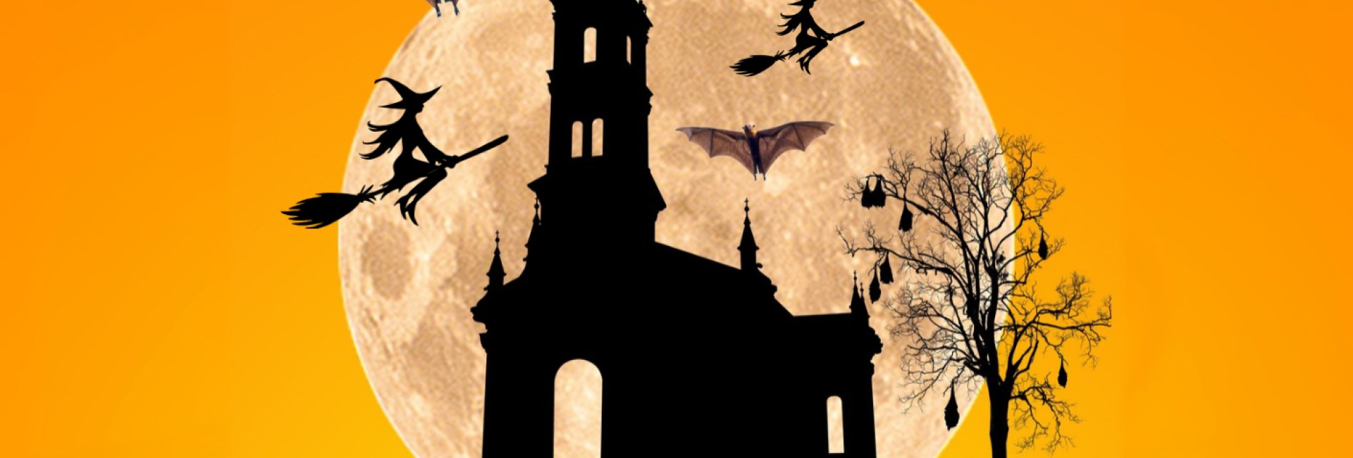 Halloween z Wiedźmuchami
