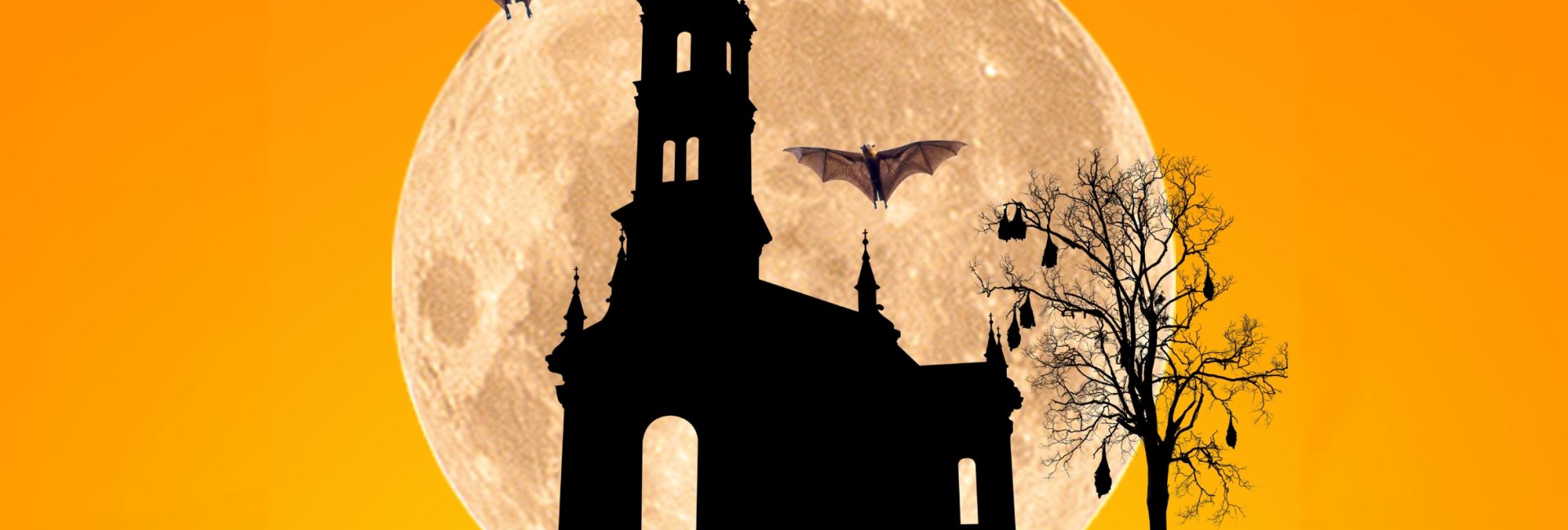 Halloween z Wiedźmuchami