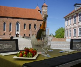 Garden of the Krasicki Hotel Courtyard