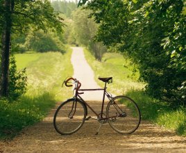 Trasy rowerowe | Łynostrada | Green Velo