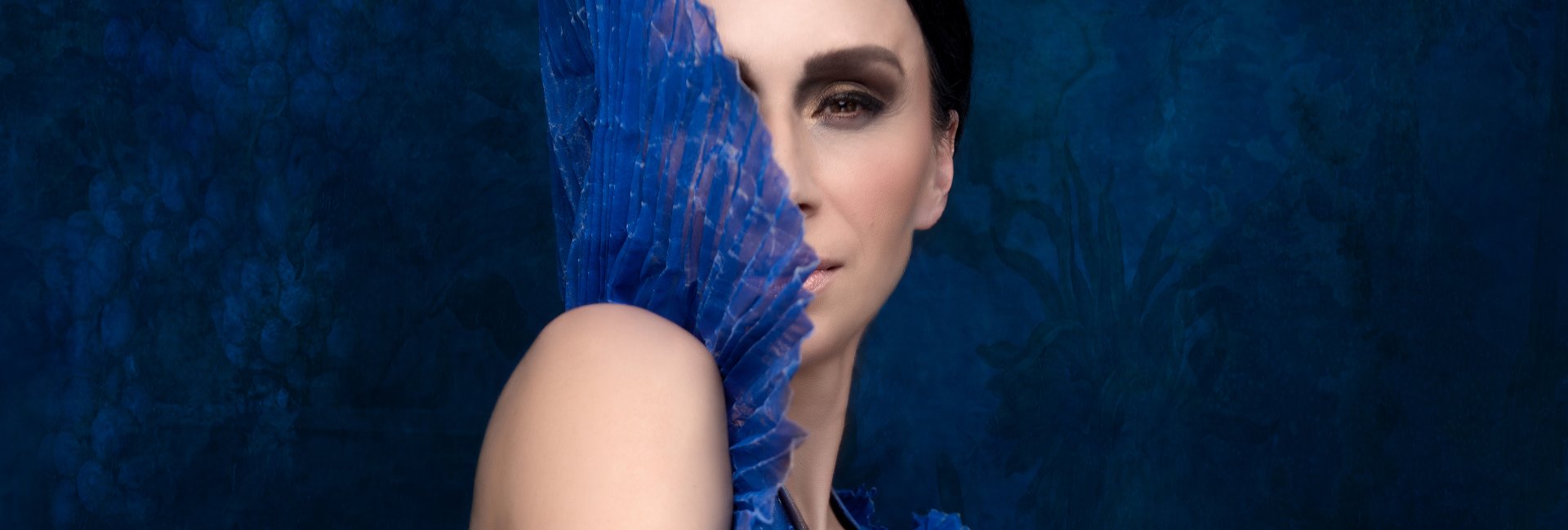 Walentynkowy Koncert Renaty Przemyk