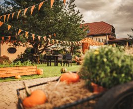 Dyniowy Port - wioska dyniowa na Mazurach