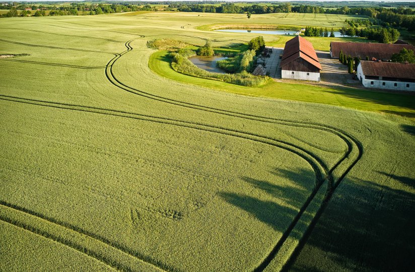 Zmieniamy nasze wnętrza w galerię!
