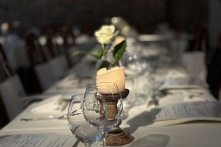 Conferences and training