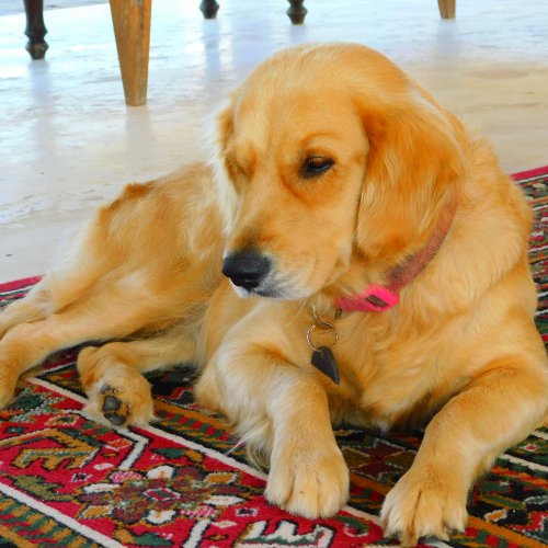 Sonrisa, Diani Beach