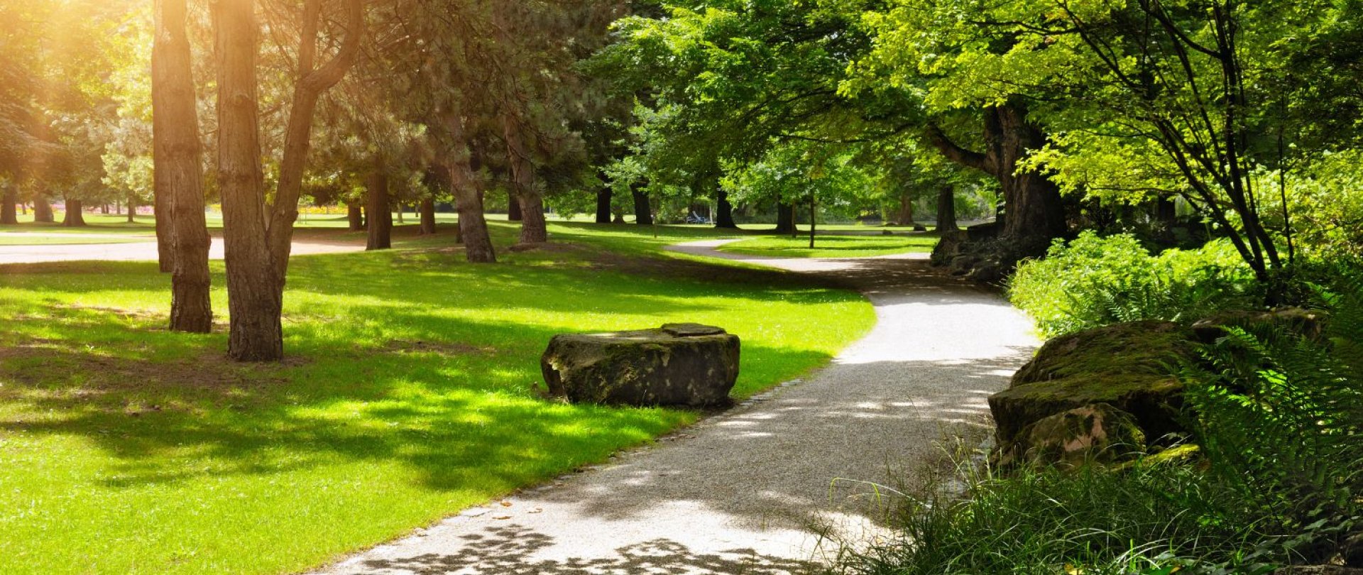 Zelené srdce Visly – objevte Park Kopczyńského