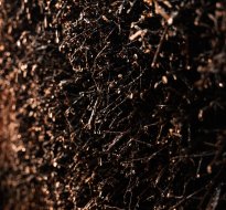 Wellness hotel ve Visle