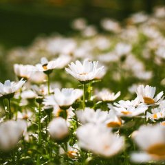 Jarn&iacute; v&iacute;kend na hor&aacute;ch