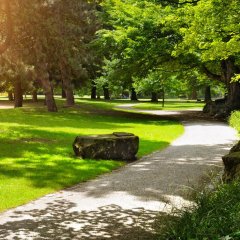 Zielone serce Wisły – odkryj Park Kopczyńskiego