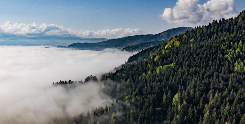 Cztery pory roku w Beskidach – kiedy i gdzie jechać w polskie góry?