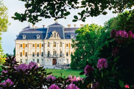 Attractions in the area