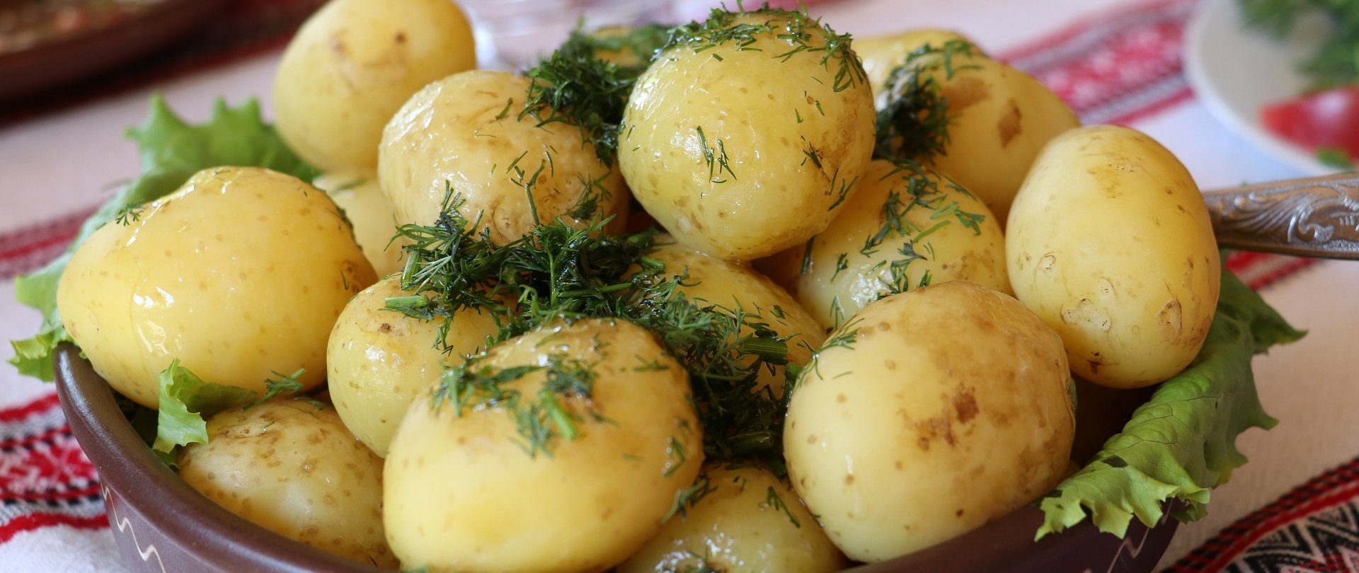 Festiwal ziemniaka