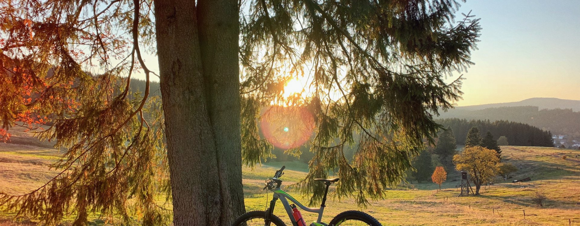 Wypożyczalnia rowerów
