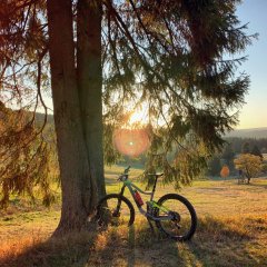 Bicycle rental