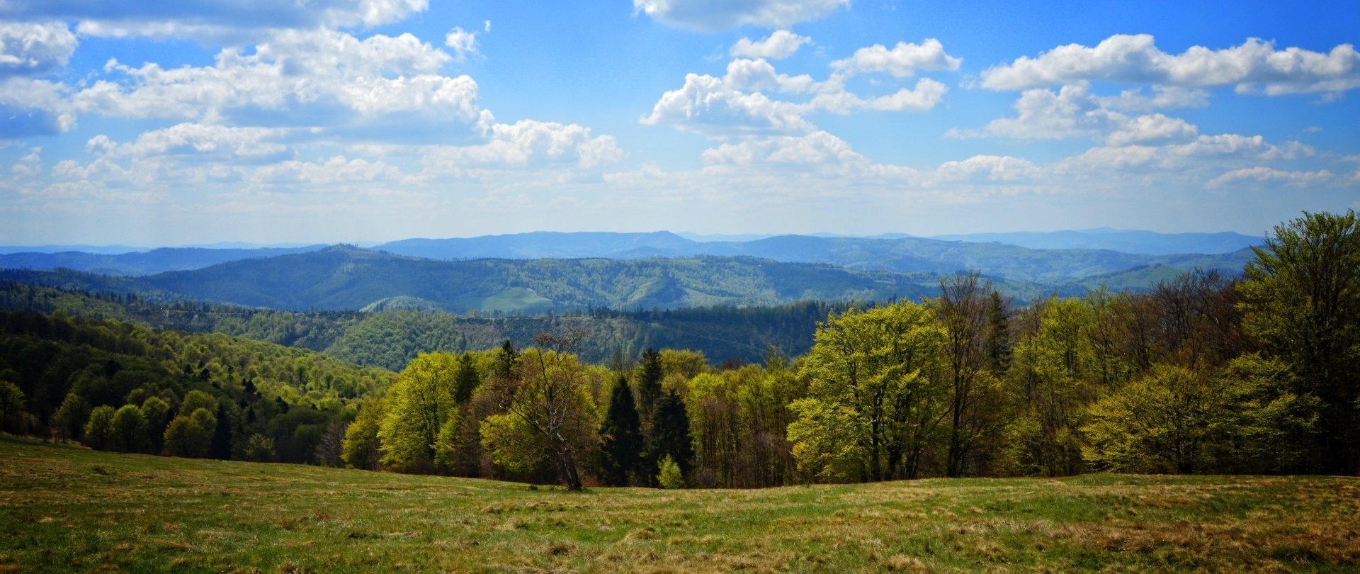 Tło bannera