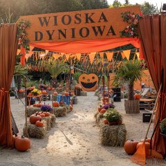 WIOSKA DYNIOWA