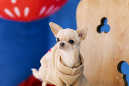 Wioska Świętego Mikołaja