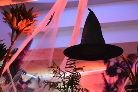 Zlot Fanów HARREGO POTTERA