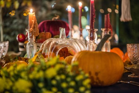 Unvergessliche Feiern