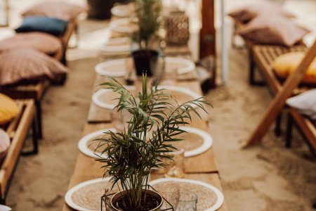 Open-Air-Veranstaltungen