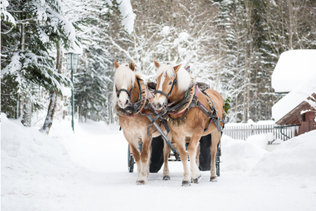 Sylwester Orient Express 2025