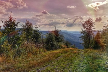 Co dělat v Brenně?