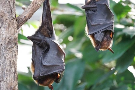 Co dělat v Brenně?