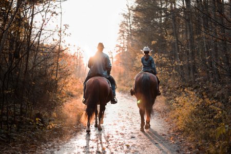 Co dělat v Brenně?