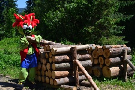 Co dělat v Brenně?