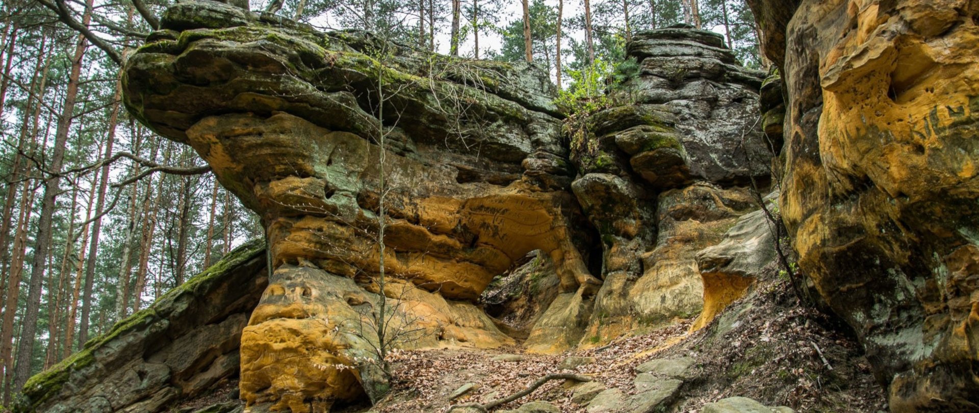 Rezerwat geologiczny Niekłań