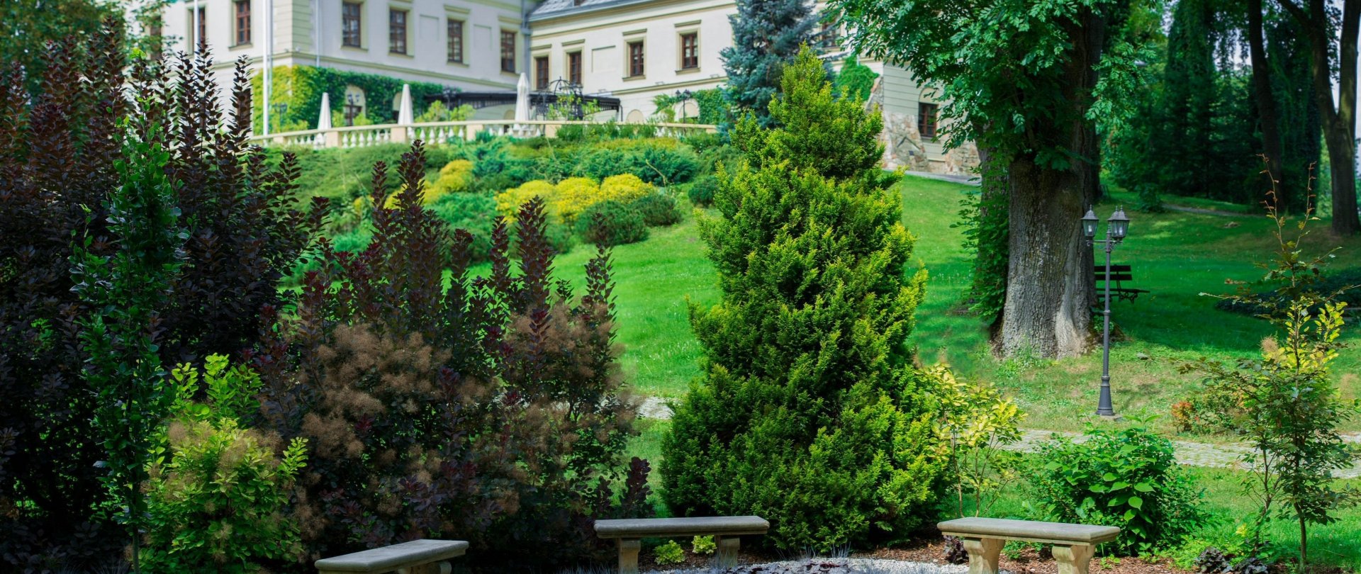 Mandala Energetyczna