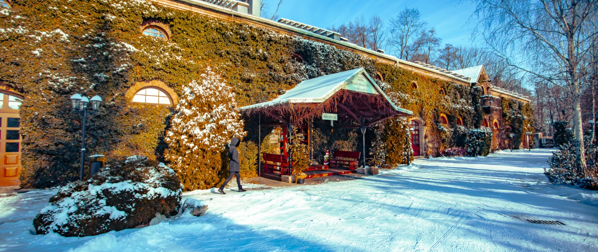 Program ferii zimowych