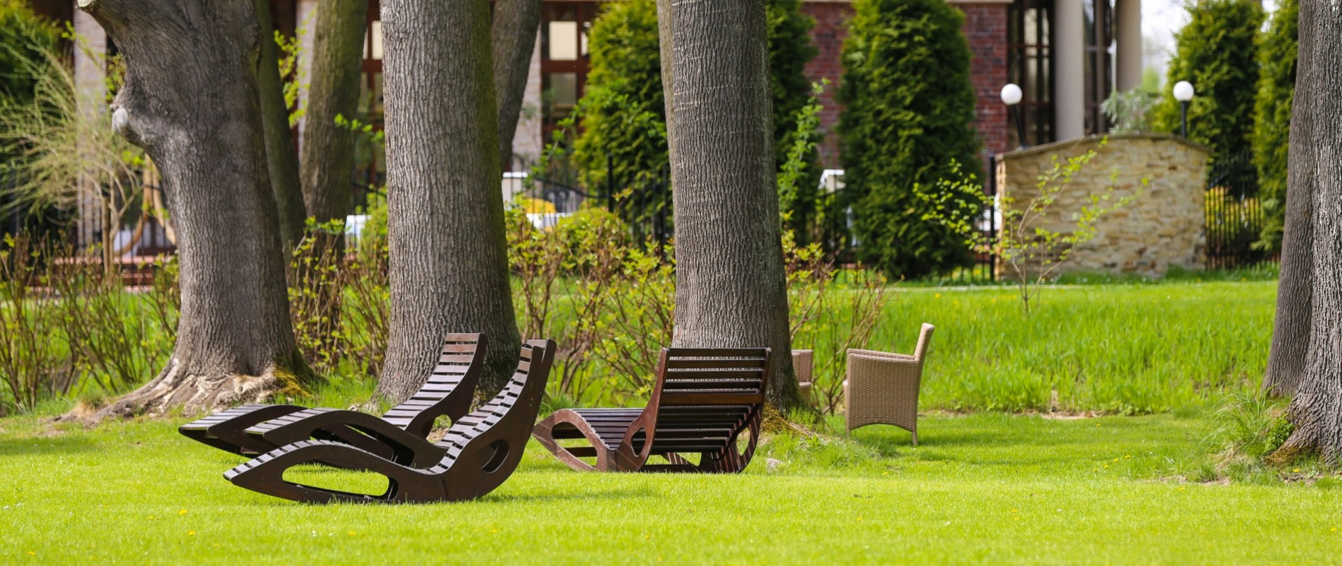 WYWIAD W PYTANIU NA ŚNIADANIE