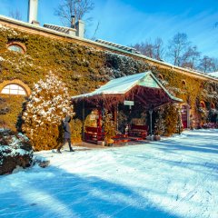 Program ferii zimowych