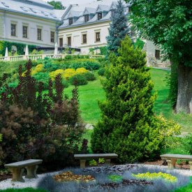 Mandala Energetyczna