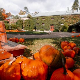 Oferty <br> specjalne 