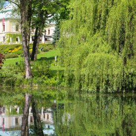 Przypałacowy <br>park