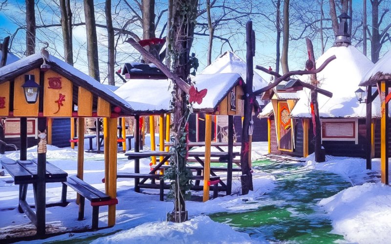 Weekendy z Witalną Wioską®