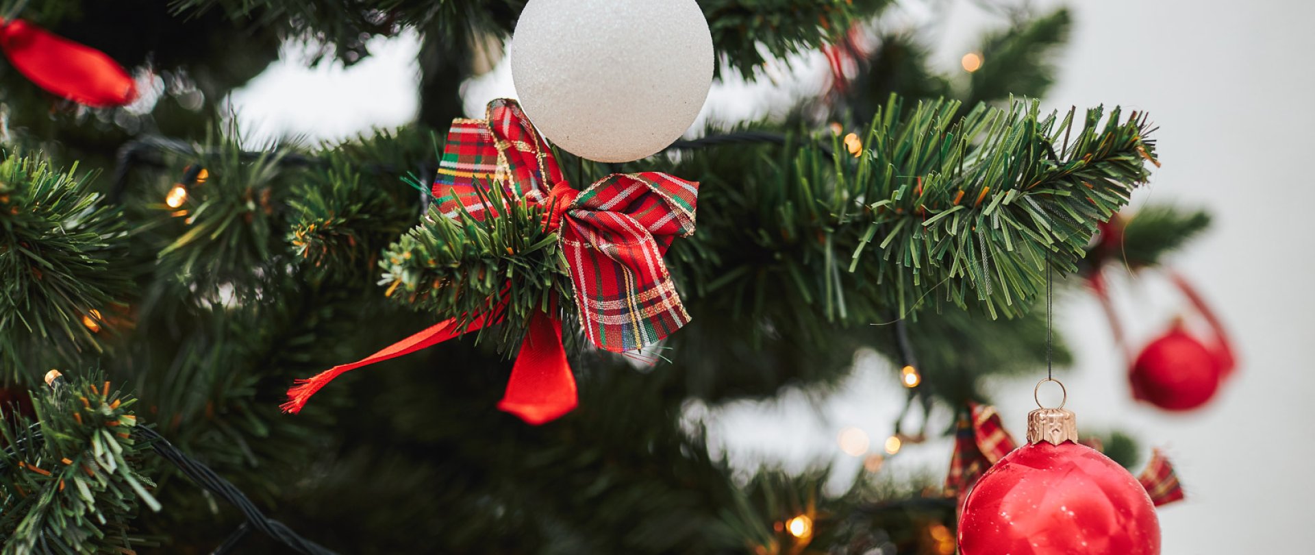 SPĘDŹ BOŻE NARODZENIE W MOLO PARKU