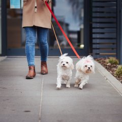 Pupile są mile widziane w Molo Park