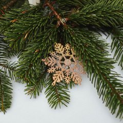 Verbringe Weihnachten im Molo Park