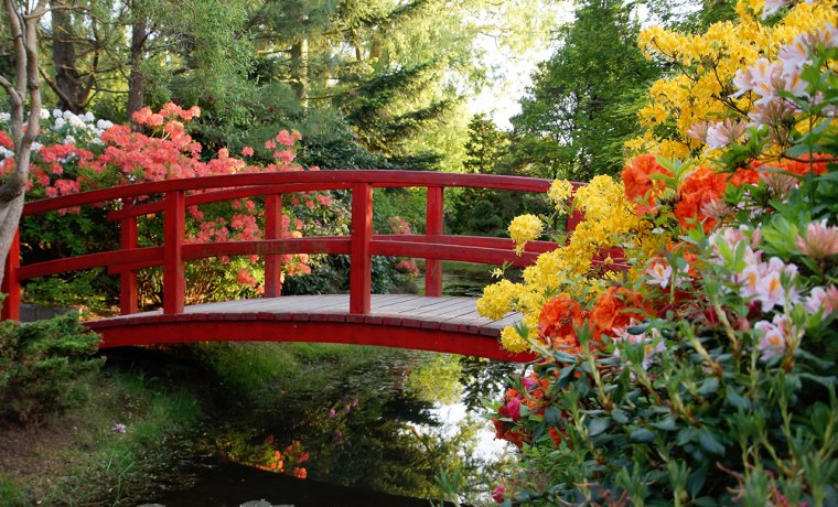 Hortulus Gardens in Dobrzyca