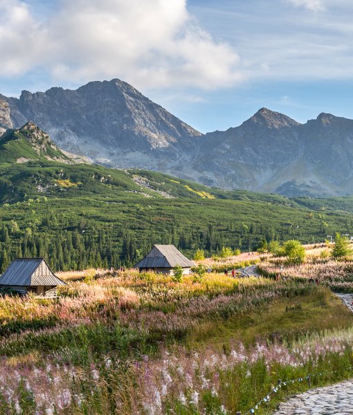 Odwiedź Zakopane