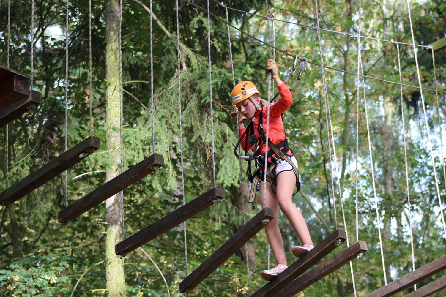 TROLLANDIA - Rope park